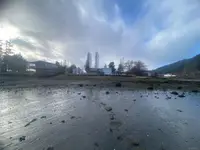 View 39