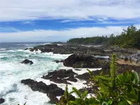 View 32