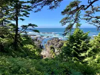 View 31