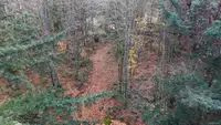 View 23