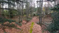 View 12