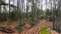 View 24