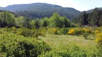 View 6
