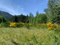 View 13