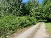 View 16