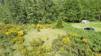 View 3