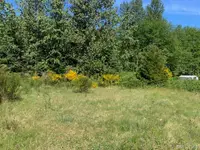 View 14