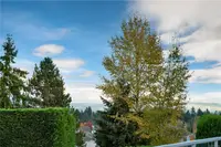 View 46