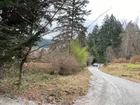 View 15