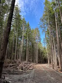 View 27