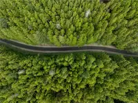 View 56