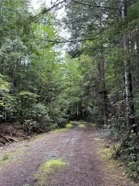 View 42