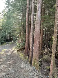 View 17