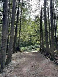 View 22