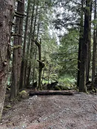 View 28