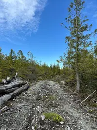 View 38