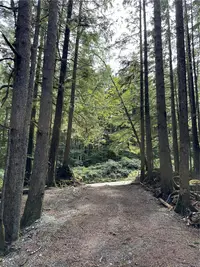 View 14