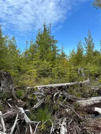 View 41