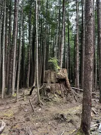 View 29