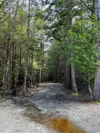 View 21
