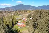 View 99