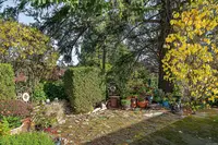 View 50