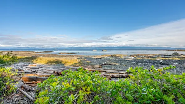 2450 Clamshell Pl, Hornby Island BC V0R 1Z0 - 3 bed, 2 bath in Hornby Island