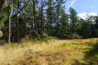 View 27