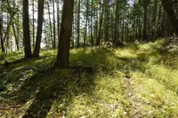 View 24