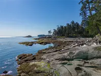 View 33