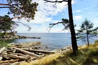 View 14