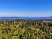 View 60