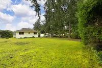View 31