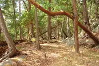 View 7
