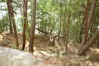 View 5