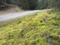 View 10