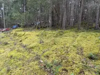 View 11