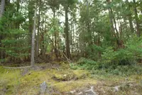 View 8