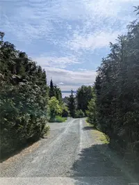View 14