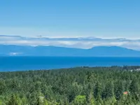 View 17