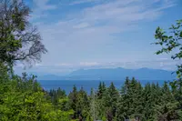 View 24