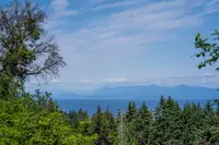 View 25