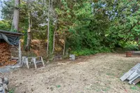 View 50