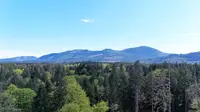 View 49
