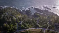 View 6
