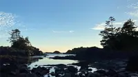 View 7