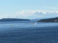 View 15