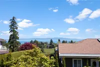 View 49