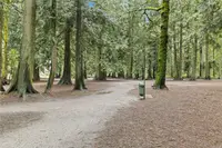 View 40
