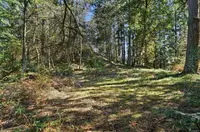 View 23